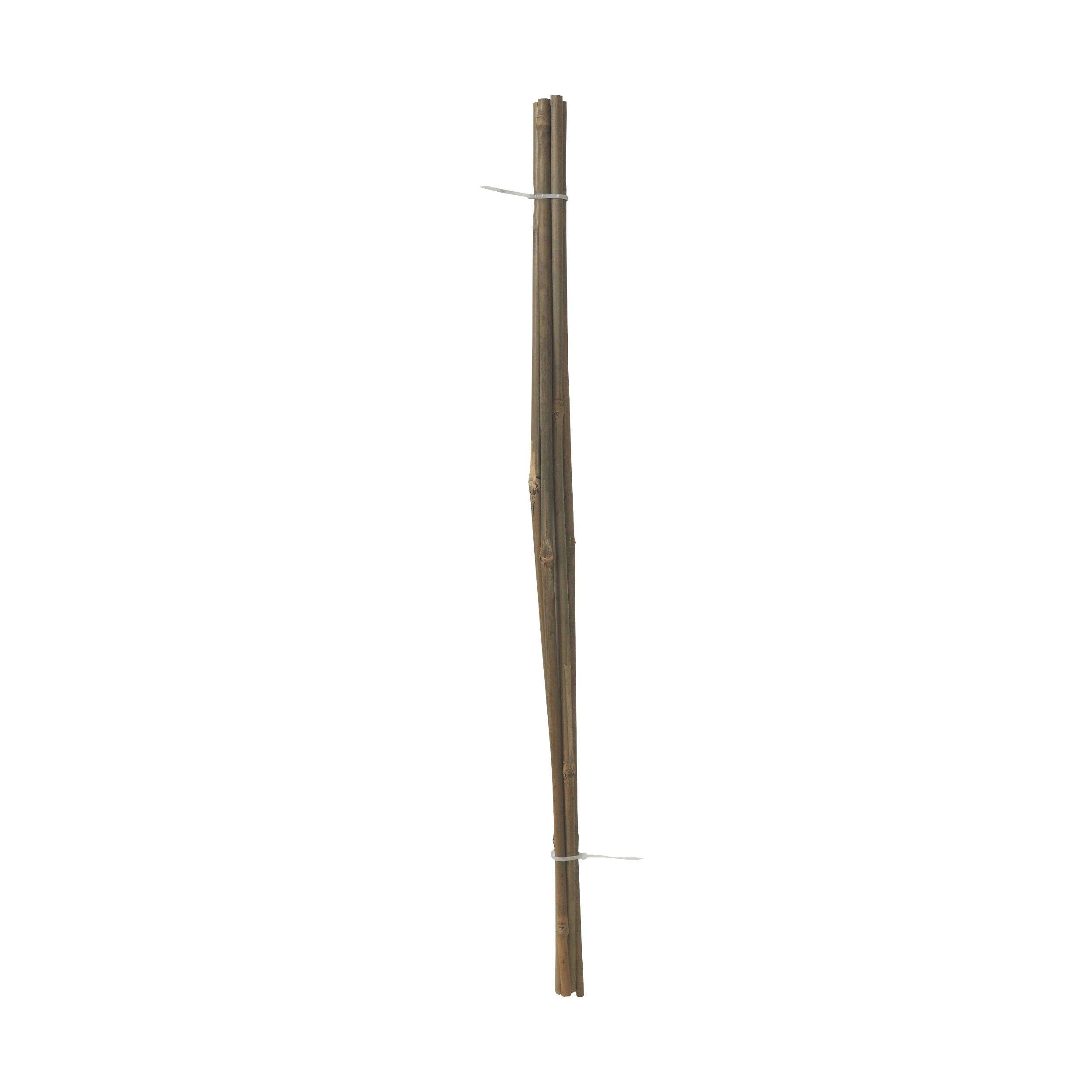 TOPTRADE tyč bambusová, O 10 - 12 mm x 90 cm, sada 5 ks 0.27 Kg TOP Sklad4 307422 176