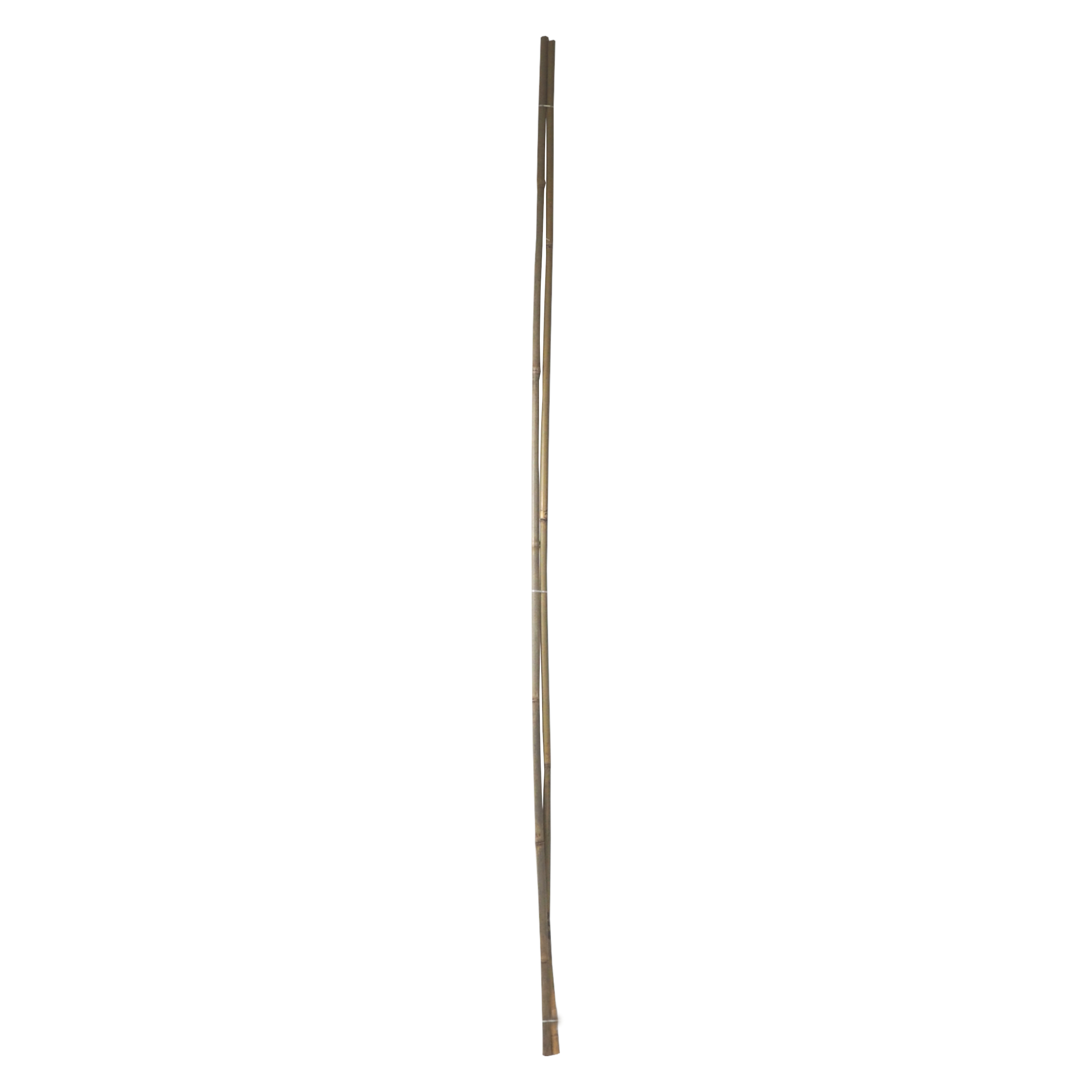 TOPTRADE tyč bambusová, O 14 - 16 mm x 150 cm, sada 2 ks 0.25 Kg TOP Sklad4 307425 333