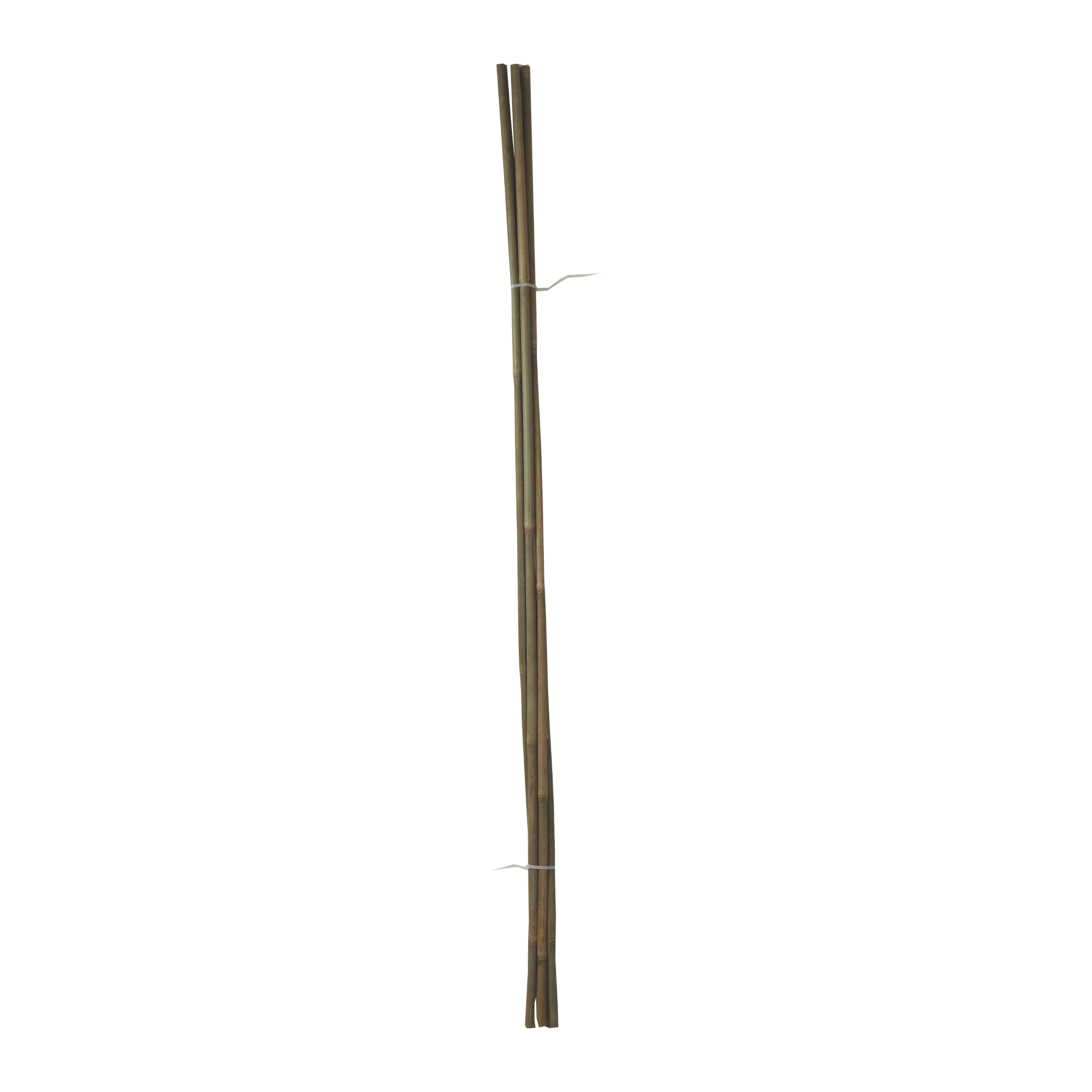 TOPTRADE tyč bambusová, O 12 - 14 mm x 120 cm, sada 5 ks 0.45 Kg TOP Sklad4 307424 184
