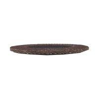 TOPTRADE kotouč brusný, lamelový, zrnitost 100, 125 x 22,2 x 2 mm (5)