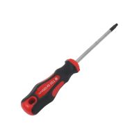 TOPTRADE šroubovák torx, magnetický, S2, T20, 5 x 100 mm (4)