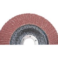 TOPTRADE kotouč brusný, lamelový, zrnitost 80, 125 x 22,2 x 2 mm (4)