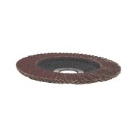 TOPTRADE kotouč brusný, lamelový, zrnitost 100, 125 x 22,2 x 2 mm (2)